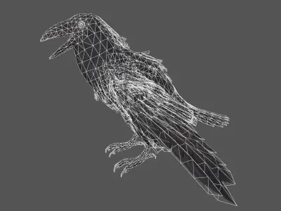 Raven Low-poly 3D model