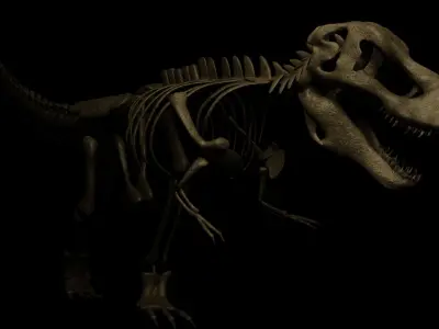 T-REX SKELETON Low-poly 3D model