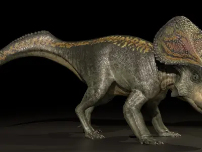 Protoceratops Asset Pack Low-poly 3D model