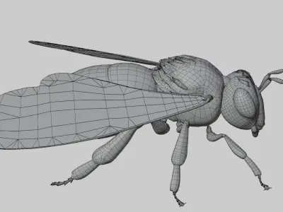 3D animated bee Low-poly 3D model