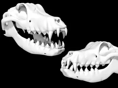 Dog Skull Low-poly 3D model