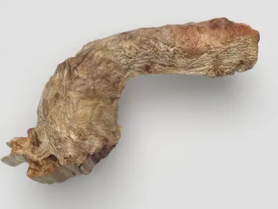 Chicken Neck 3D model