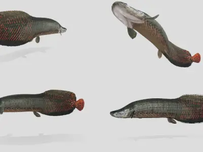 Fish Collection Animated - Game Ready Pack 1 Low-poly 3D model