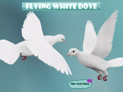 realistc White Dove- LOOP FLIGHT animation Low-poly 3D model