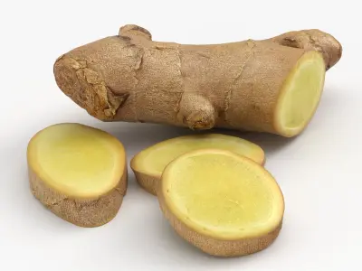 Fresh Ginger Root Slices 2 3D model
