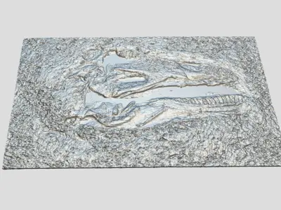 Tyrannosaurus Rex-fossil-dinosaur Low-poly 3D model