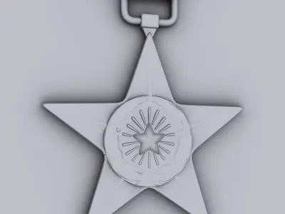 USAF Silver Star Medal 3D model