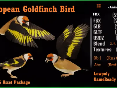 European Goldfinch Bird Low-poly 3D model