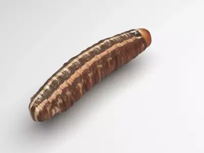 Cutworm 3D model
