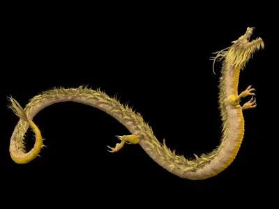 Chinese Dragon Animated 3D model