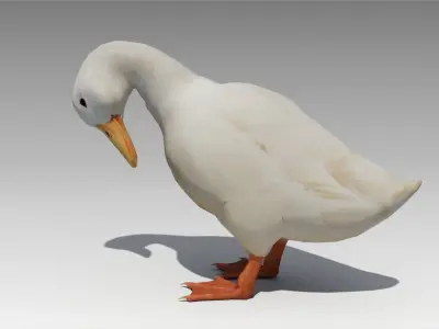 Duck Animated Low-poly 3D model