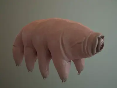 Tardigrade  Midpoly 3D model