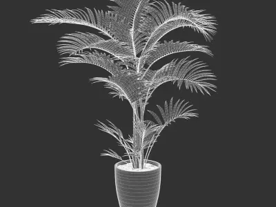  Parlor Palm Potted Plant Model 
