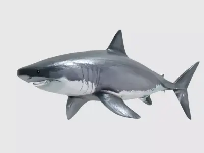 SHARK great Low-poly 3D model