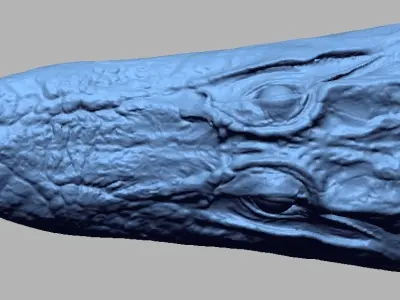 Alligator Head 3D print model