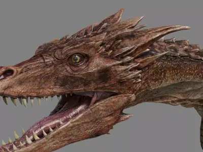 Dragon Animations Low-poly 3D model