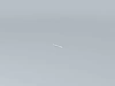 R5AC First Flights Airplane Crashes Free 3D model