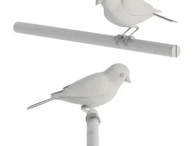 Canaries in a cage 3D model