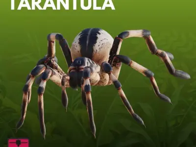 Tarantula STL 3D Model 3D print model