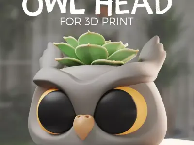 Owl Head- planter for 3D print 3D print model