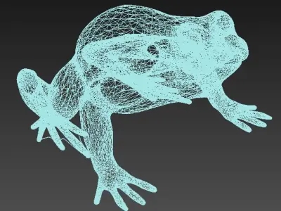 FROG LOW POLY Low-poly 3D model