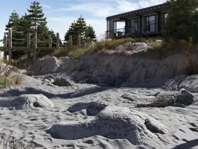  Small Smooth Horseshoe Beach Rock Model 