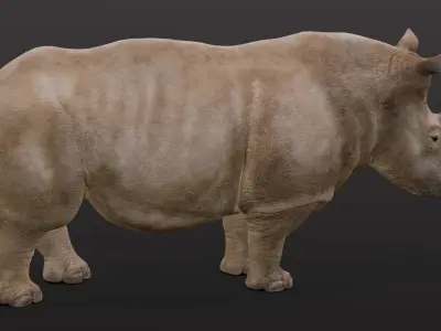 Behemoth Animated 3D Model Low-poly 3D model