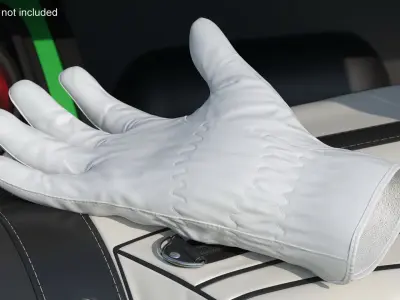 Golf Glove 3D model