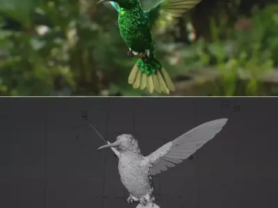 Hummingbird  Low-poly 3D model