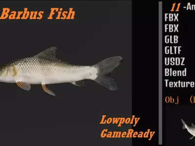 Barbeel Fish Low-poly 3D model