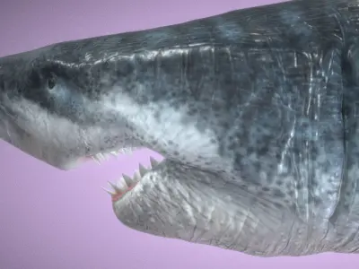 Ultra Megalodon  Low-poly 3D model