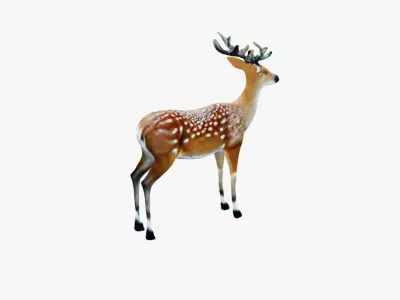 Deer Animal Free 3D model