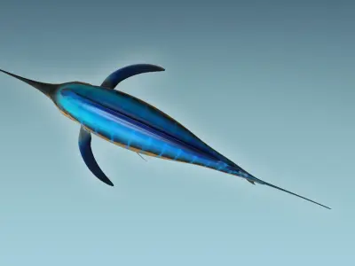 Marlin 3D model