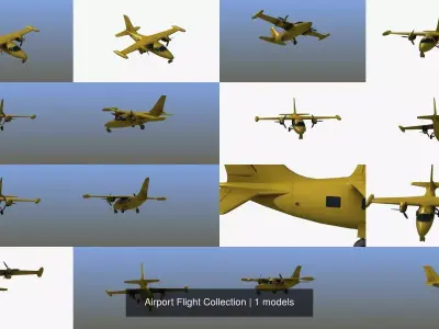 Airport Flight Collection 