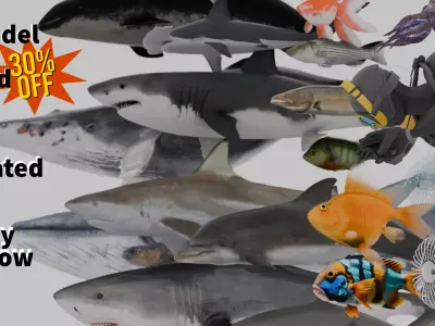 Sea Animal Mega Pack Low-poly 3D model