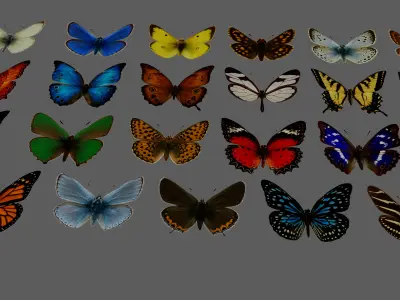 Butterflies  Animated Rigged Collection  Low-poly 3D model