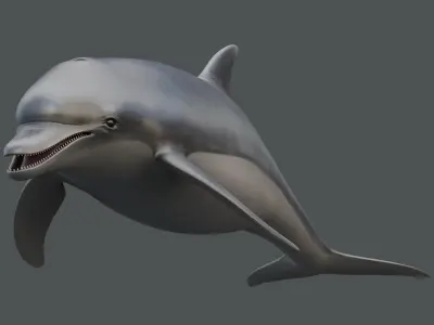 Dolphin Rigged Low-poly 3D model