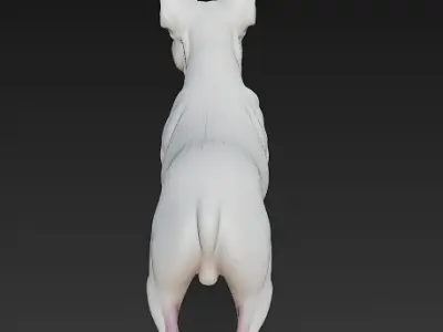 French Bulldog White Dog Realistic 3D Model - Low Poly Realistic Low-poly 3D model