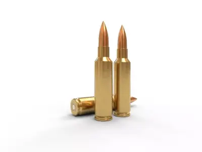 300 Winchester SM Low-poly 3D model