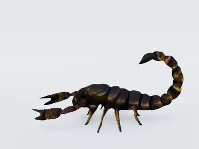 Scorpion Free 3D model