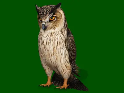 OWL RIGGED ANIMATED 7 Low-poly 3D model