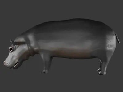 Hippopotamus 3D Model Rigged and Animated Low-poly 3D model