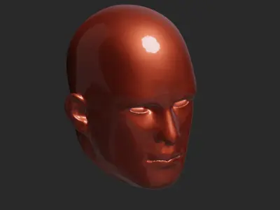 Humans Head 3D print model