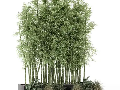 Indoor Plants Bamboo Set in rusty Concrete pots - set 1894 3D model