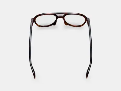 Fielder Eyeglasses in Cognac Tortoise Matte 3D model