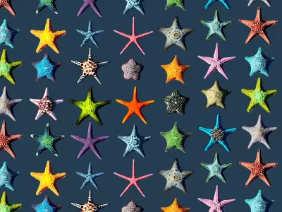 Starfish Mega Pack Low-poly 3D model