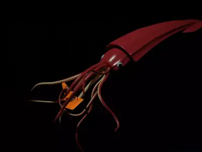 Giant deep sea squid Free 3D model