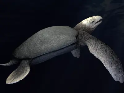 Archelon Asset Pack Low-poly 3D model