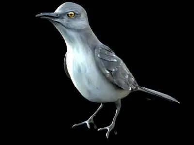 Mockingbird Low Poly Rigged with high quality texture Low-poly 3D model