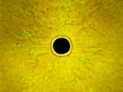 Suchomimus Dinosaur 3D model